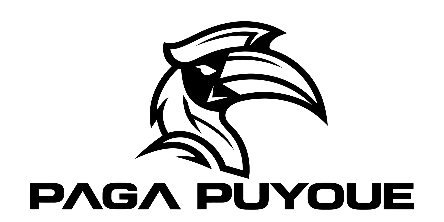 Paga Puyoue logo
